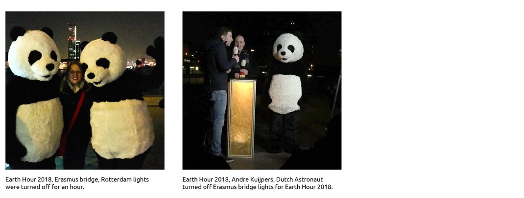 PAGE CONTENT LAYOUT_WWF2