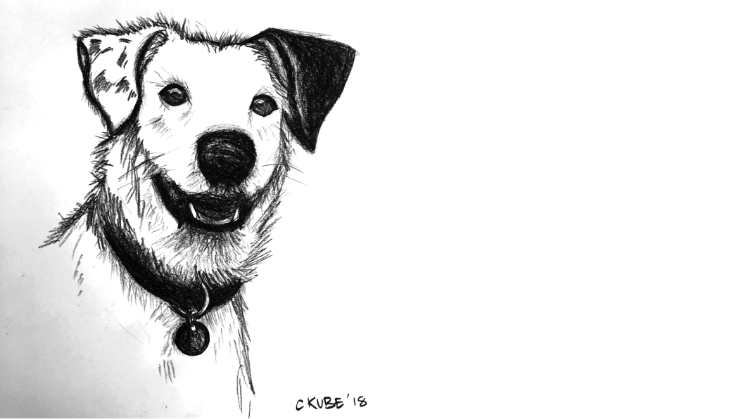 PAGE CONTENT LAYOUT_ILLUS2